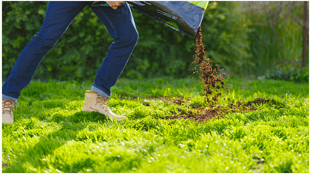 Too much peat moss on grass seed