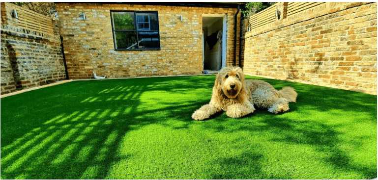 Is Artificial Grass Too Hot for Dogs
