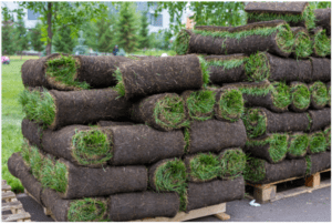Pallet of Zoysia Sod: All You Need to Know - Lawn Affection