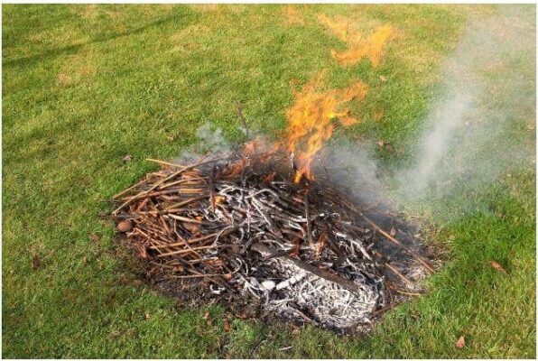 Burning Bermuda Grass