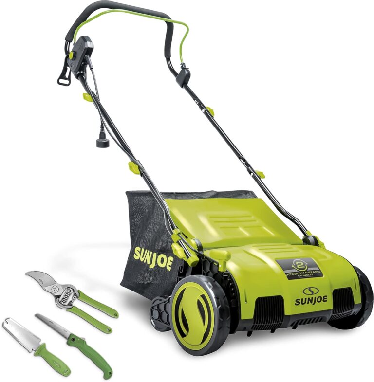 7 SECRETS On How to Make St Augustine Grass Spread Quickly Lawn Affection