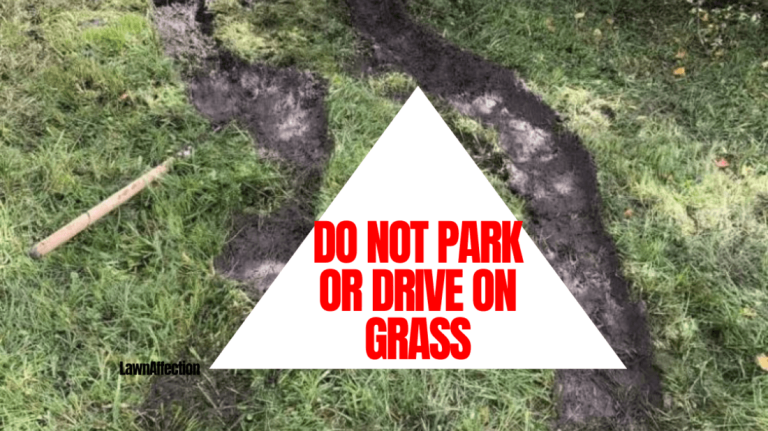 Is Driving Through Someone's Yard a Crime?